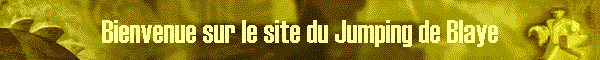 Bienvenue sur le site du Jumping de Blaye
